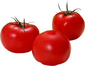 Tomato PNG-12555